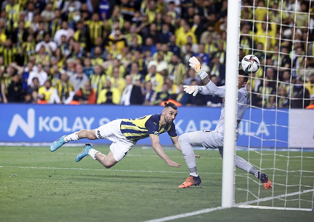 过多种形式 过多种形式