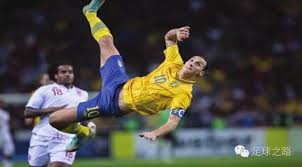 还是具备制 还是具备制