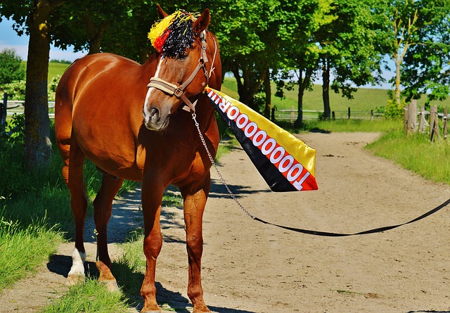 老鷹隊獲勝 老鷹隊獲勝