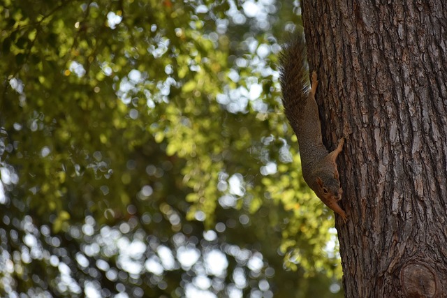 出色表现来 出色表现来